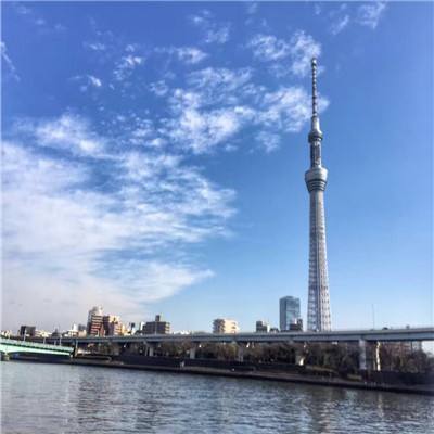 皇帝养成之朕临天下游戏下载