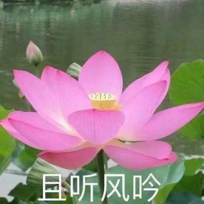 率土之滨华为客户端下载